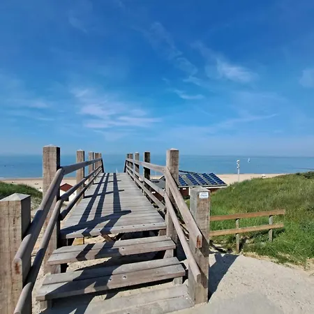 Zuid-holland Nabij Zandstrand Vp073 *