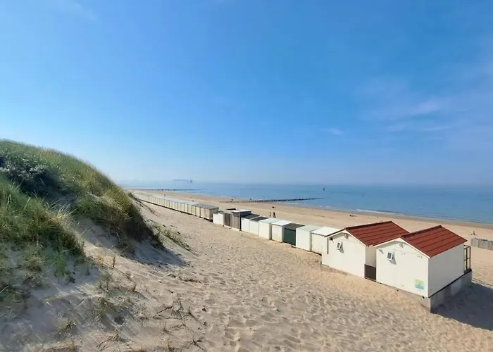 Zuid-holland Nabij Zandstrand Vp073 Ouddorp