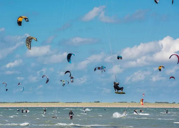 Zuid-holland Nabij Zandstrand Vp073 *