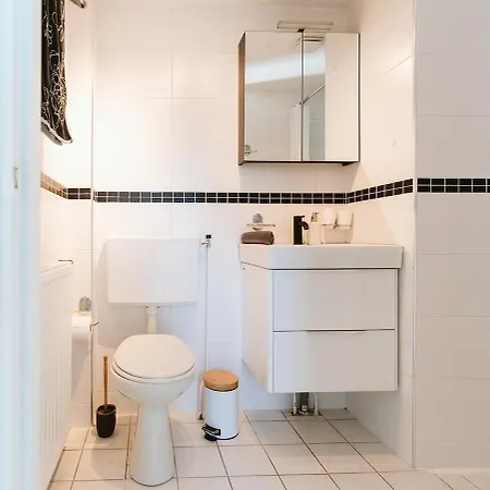 Zuid-holland Nabij Zandstrand Vp073 別荘 *