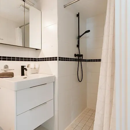 Zuid-holland Nabij Zandstrand Vp073 * アウドルプ