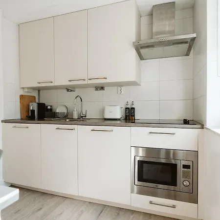 Zuid-holland Nabij Zandstrand Vp073 *